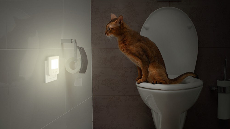 4-Pack OxyLED N01 Night Lights, $10 with code OXYN01DL